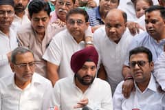 'मैं कांग्रेस का कार्यकर्ता बने रहना चाहता हूं, अगर...', लवली के बयान के क्या हैं संकेत?