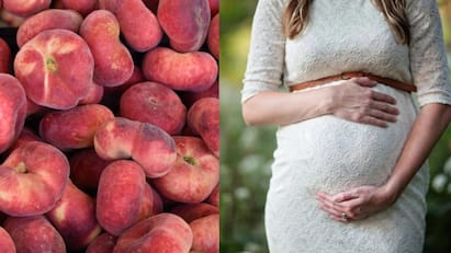 Plums benefits : மே மாதம் முதல் அக்டோபர் வரை கிடைக்கும் பிளம்ஸ் பழத்தின் நன்மைகளை இங்கு காணலாம்.