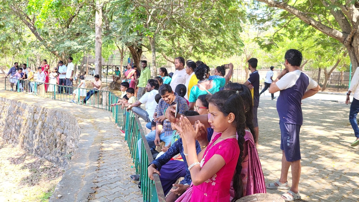 Vandalur Zoo: வண்டலூர் போற பிளான் இருக்கா ? -  இதை கொஞ்சம் தெரிஞ்சுக்கோங்க A to Z Details உள்ளே..!