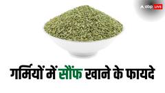 Fennel Seeds: गर्मियों में सौंफ खाएं, फायदे ही फायदे पाएं, सेहत का खज़ाना है ये मसाला