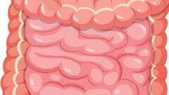 गर्मियों में पेट को रखना है एकदम ठंडा तो अपनाएं ये खास आयुर्वेदिक टिप्स, हफ्तेभर में दिखेगा फायदा