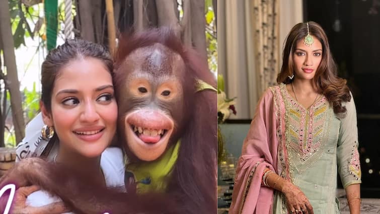 Nusrat Jahan orangutan video post trolled on Social Media netizens see similarities in lips Nusrat Jahan: কোলে চড়ে নুসরতকে আদর ওরাংওটাঙের, 'ঠোঁট দুটো একই', নেটিজেনদের কটাক্ষের শিকার অভিনেত্রী