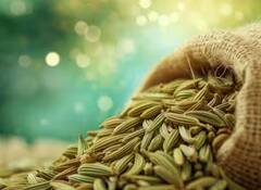 Fennel Seeds: ਗਰਮੀਆਂ 'ਚ ਖਾਓ ਸੌਂਫ, ਸਿਹਤ ਨੂੰ ਹੋਵੇਗਾ ਜ਼ਬਰਦਸਤ ਫਾਇਦਾ, ਕਈ ਬਿਮਾਰੀਆਂ ਤੋਂ ਮਿਲੇਗਾ ਛੁਟਕਾਰਾ