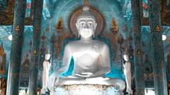 बुद्ध के सिर पर जो घुंघराले बाल दिखते हैं, वो बाल नहीं है! जबकि चिपके हैं ये जानवर