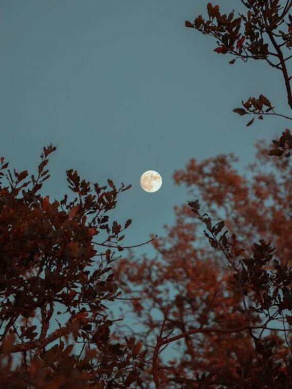 क्या धरती से चांद को दिन में देखा जा सकता है?