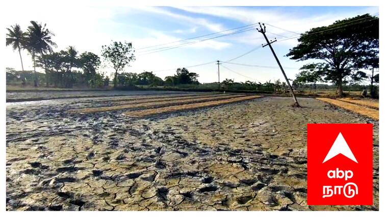 Mayiladuthurai Interrupted electricity  burning crops farmers sad - TNN மின்வாரிய அதிகாரிகளின் அலட்சியம், கருகும் பயிர்கள் : வேதனையில் மயிலாடுதுறை விவசாயிகள்