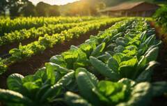 PM Kisan Yojana: ਕਦੋਂ ਆਵੇਗੀ ਪੀਐਮ ਕਿਸਾਨ ਨਿਧੀ ਦੀ ਅਗਲੀ ਕਿਸ਼ਤ, ਜਾਣੋ ਤਾਜ਼ਾ ਅਪਡੇਟ