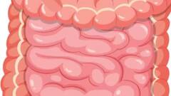 ઉનાળામાં પેટને ઠંડુ રાખવા માંગો છો તો આ ખાસ આયુર્વેદિક ટિપ્સ અપનાવો, એક અઠવાડિયામાં જ થશે ફાયદો