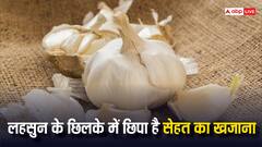 Garlic Peel: लहसुन ही नहीं इसका छिलका भी सेहतमंद, इसमें छिपा है स्किन से लेकर सूजन तक की परेशानी का इलाज