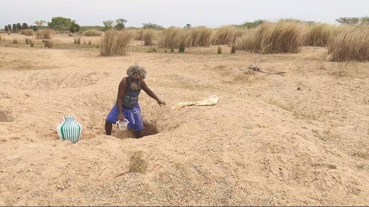 Sivagangai news Nattakudi village water problem issue people Tell them that they will not give a girl - TNN குடிதண்ணி இல்லாத ஊருக்கு பொண்ணு குடுக்க மாட்டோம்னு சொல்றாங்க - சிவகங்கை கிராம அவலம்