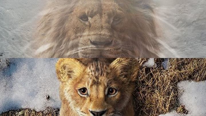 Mufasa The Lion King :  முஃபாசா : தி லயன் கிங், வருகிற டிசம்பர் 20 ஆம் தேதி வெளியாகும் என்ற அறிவிப்பு வந்துள்ளது.