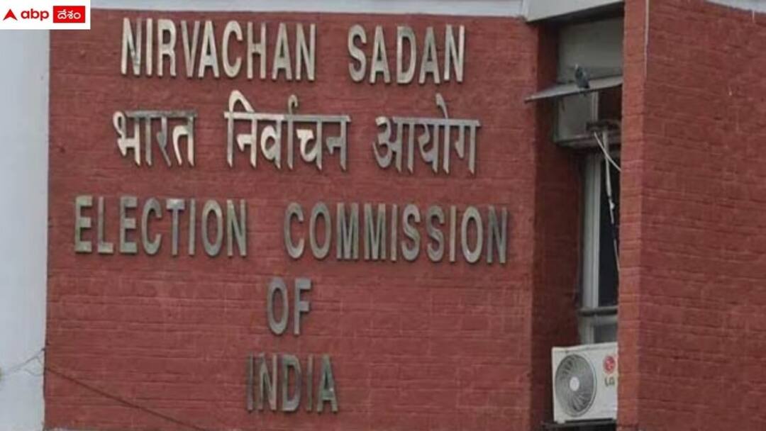 election commission announced contesting candidates list in ap elections AP Elections: ఏపీ ఎన్నికలు - బరిలో ఎంతమంది నిలిచారంటే?