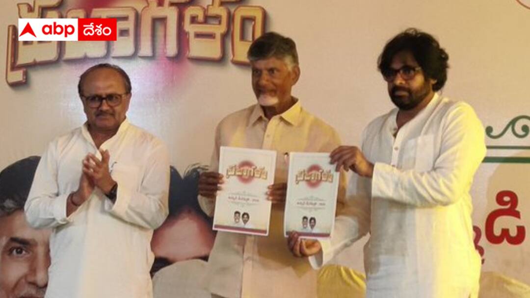 Chandrababu clarified that the responsibility of implementing the manifesto lies with TDP and Janasena TDP Manifesto : మేనిఫెస్టో అమలు బాధ్యత టీడీపీ, జనసేనదే - బీజేపీ సపోర్టు ఉంటుందన్న చంద్రబాబు