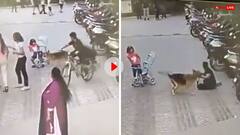 जर्मन शैफर्ड ने सोसाइटी में खेल रही बच्ची पर किया हमला, खौफनाक वीडियो आया सामने
