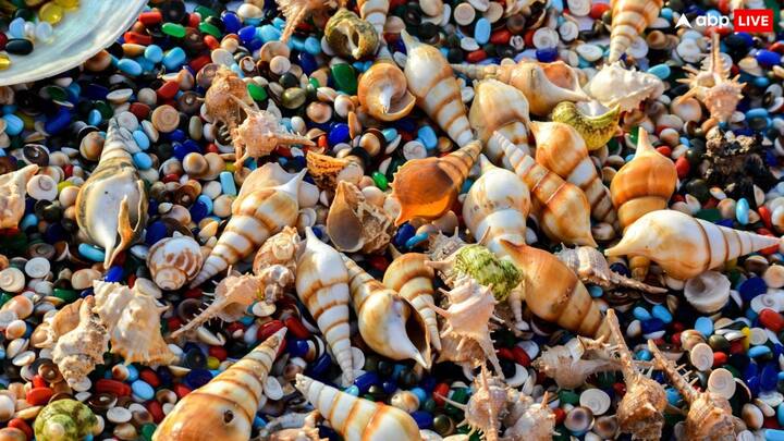 अध्ययन में यह प्रदर्शित किया गया है कि समुद्री ‘हीटवेव’ (समुद्र के तापमान के असमान्य रूप से अधिक रहने की अवधि) के प्रतिवर्ष 20 दिन (1970-2000) से बढ़कर प्रतिवर्ष 220-250 दिन होने का अनुमान है, जिससे उष्ण कटिबंधीय हिंद महासागर 21वीं सदी के अंत तक स्थायी ‘हीटवेव’ स्थिति के करीब पहुंच जाएगा.