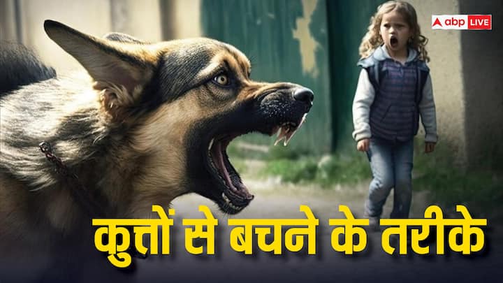 Street Dog: कुत्ते को देखते ही अधिकतर लोग कुछ गलतियां कर देते हैं, जिससे कुत्ता उन्हें काट लेता है. इससे बचने के लिए आप कुछ टिप्स को फॉलो कर सकते हैं.