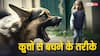 Dog Bite Cases: बच्चों पर हमला नहीं करेगा कुत्ता, परिवार में सभी को जरूर सिखाएं ये चीज
