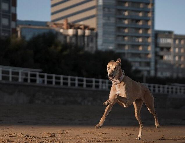 इससे बचने के लिए सभी लोग इन टिप्स को फॉलो कर सकते हैं और अपने बच्चों को उसके बारे में समझा सकते हैं.