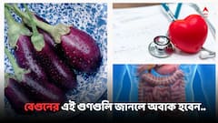 Egg Plant Benefits: 'গুণ নেই..' ভেবে বেগুনকে পাত্তা দেননি ? জানলে অবাক হবেন..