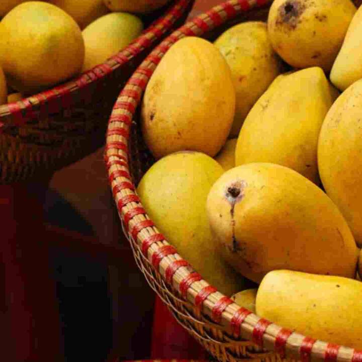 ਮਾਲਦਾ ਅੰਬ ਦਾ ਸੁਆਦ ਮਿੱਠਾ ਅਤੇ ਖੱਟਾ ਹੁੰਦਾ ਹੈ। ਬਿਹਾਰ ਵਿੱਚ ਇਸ ਨੂੰ ਅੰਬਾਂ ਦਾ ਰਾਜਾ ਕਿਹਾ ਜਾਂਦਾ ਹੈ। ਲੋਕ ਇਸ ਦੀ ਵਰਤੋਂ ਜ਼ਿਆਦਾਤਰ ਚਟਨੀ ਬਣਾਉਣ ਲਈ ਕਰਦੇ ਹਨ। ਦੂਜੇ ਅੰਬਾਂ ਦੇ ਮੁਕਾਬਲੇ ਇਸ ਦੀ ਸ਼ਕਲ ਕਾਫੀ ਪਤਲੀ ਹੁੰਦੀ ਹੈ।ਇਹ ਅੰਬ ਝਾਰਖੰਡ ਵਿੱਚ ਵੱਡੇ ਪੱਧਰ 'ਤੇ ਪਾਇਆ ਜਾਂਦਾ ਹੈ।