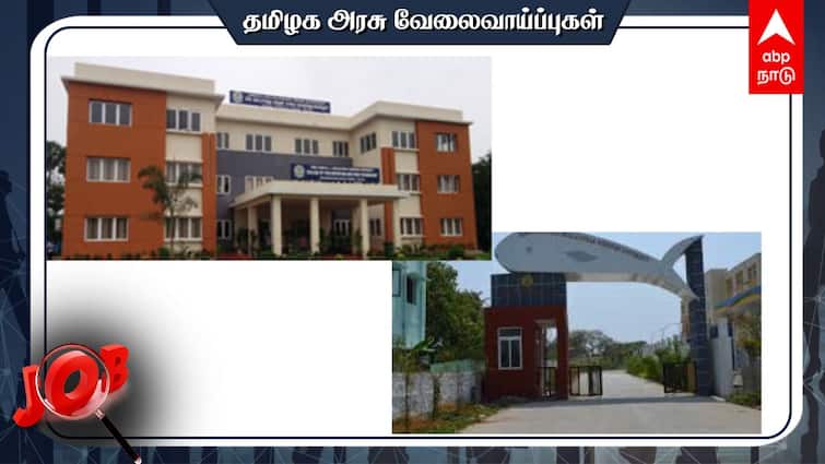 Tamil Nadu Dr J Jayalalithaa Fisheries University  Research Analyst Contractual Check details and Apply TNJFU Recruitment 2024: பி.ஹெச்டி. முடித்தவரா? மீன்வளப் பல்கலைக்கழகத்தில் வேலை - முழு விவரம்.