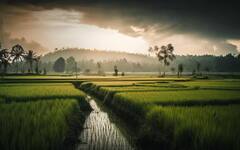 PM Kisan Yojana: ਕਦੋਂ ਆਵੇਗੀ ਪੀਐਮ ਕਿਸਾਨ ਨਿਧੀ ਦੀ ਅਗਲੀ ਕਿਸ਼ਤ, ਜਾਣੋ ਤਾਜ਼ਾ ਅਪਡੇਟ