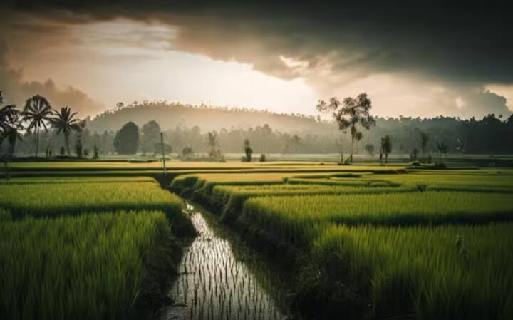 ਕਿਸਾਨਾਂ ਲਈ ਪ੍ਰਧਾਨ ਮੰਤਰੀ ਕਿਸਾਨ ਪੋਰਟਲ 'ਤੇ 17ਵੀਂ ਕਿਸ਼ਤ ਲਈ ਈ-ਕੇਵਾਈਸੀ ਕਰਵਾਉਣ ਦੀ ਆਖਰੀ ਮਿਤੀ 31 ਮਈ 2024 ਤੱਕ ਵਧਾ ਦਿੱਤੀ ਗਈ ਹੈ। ਕਈ ਮੀਡੀਆ ਰਿਪੋਰਟਾਂ ਦੇ ਅਨੁਸਾਰ, 17ਵੀਂ ਕਿਸ਼ਤ 1 ਜੂਨ, 2024 ਨੂੰ ਜਾਰੀ ਹੋਣ ਦੀ ਉਮੀਦ ਹੈ।