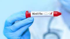 Bird Flu Outbreak: बर्ड फ्लू की बीमारी से बचना है तो चिकन और अंडे को इस तरीके से खाना शुरू कर दें