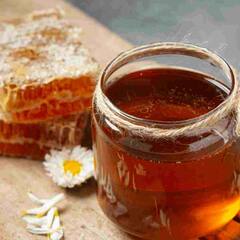 Pure Honey : ਕਿਤੇ ਤੁਸੀਂ ਤਾਂ ਨਹੀਂ ਕਰ ਰਹੇ ਸਿਹਤ ਨਾਲ ਖਿਲਵਾੜ, ਖਾਣ ਤੋਂ ਪਹਿਲਾਂ ਜਾਂਚ ਲਓ ਸ਼ਹਿਦ