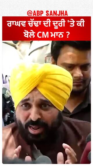 Bhagwant Mann| ਰਾਘਵ ਚੱਢਾ ਦੀ ਦੂਰੀ 'ਤੇ ਕੀ ਬੋਲੇ CM ਮਾਨ ?