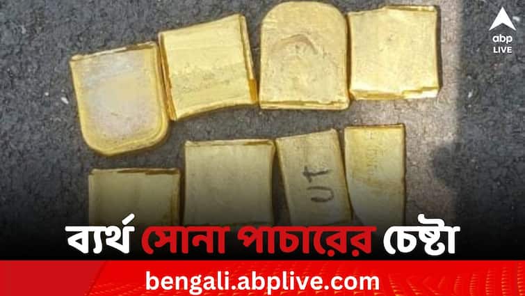 Nadia News BSF Foiled bid Gold smuggling best In India- Bangladesh international border and detain on person BSF: ভারত-বাংলাদেশ সীমান্তে ফের ব্যর্থ সোনা পাচারের চেষ্টা, প্রায় কোটি টাকার সোনা সহ গ্রেফতার পাচারকারী