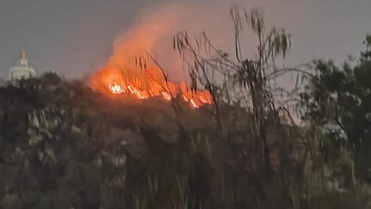 Bihar Fire broke out in the trees growing on Brahmayoni mountain of Gaya ann Fire In Gaya: गया के ब्रह्मयोनि पहाड़ पर पेड़ों में लगी आग, बुझाने में जुटी फायर ब्रिगेड की टीम