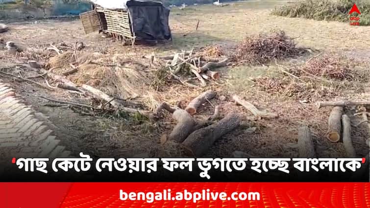 South 24 Paragans News 6 arrested due approximate 1000 Government tree  cutting cases in Kakdwip during heat wave bad weather in Bengal South 24 Parganas News: তীব্র গরমে পুড়ছে বাংলা, কাকদ্বীপে প্রায় ১০০০ টি সরকারি গাছ কাটার অভিযোগ, গ্রেফতার ৬