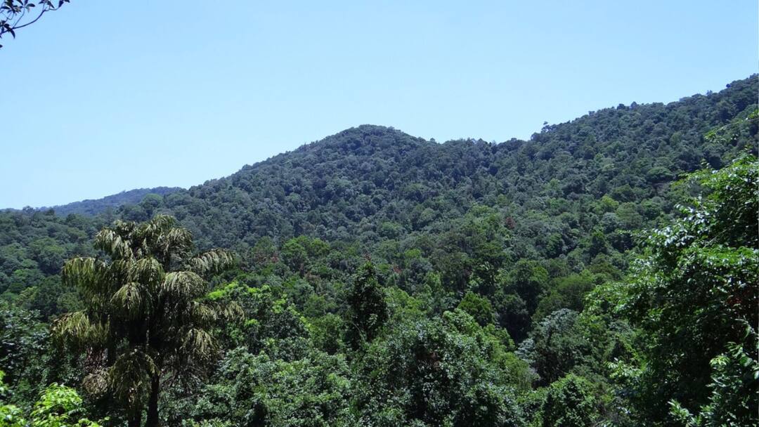 Kerala Wayanad Gun Battle Erupts Between Thunderbolt Commandos Maoists Kerala: Gun Battle Erupts Between Thunderbolt Commandos & Maoists In Wayanad