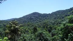 Kerala: Gun Battle Erupts Between Thunderbolt Commandos & Maoists In Wayanad