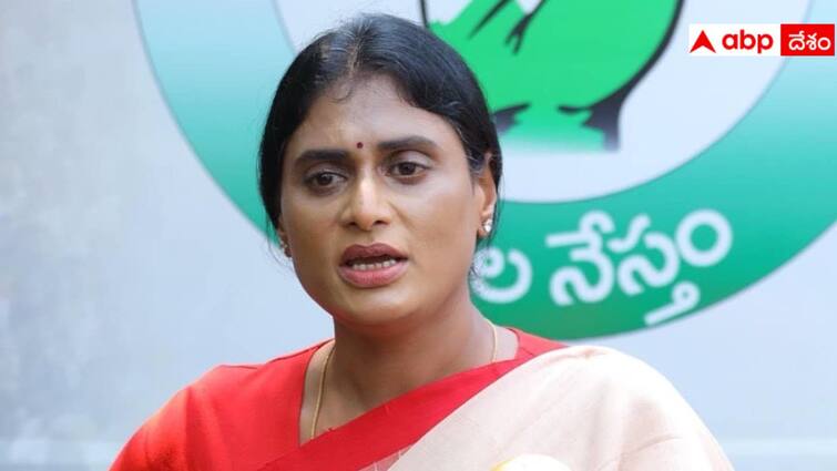 YS Sharmila Alleged that rs 40 crore deal for YS Viveka Murder accused is Avinash Reddy YS Sharmila: వివేకా హత్యకు రూ.40 కోట్ల డీల్! సీబీఐ ఆధారాలతో అవినాష్ పనేనని తెలిసింది - వైఎస్ షర్మిల