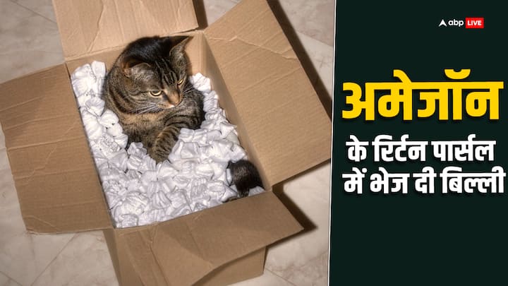 Cat In Amazon Return Parcel: अमेरिका में रहने वाले एक कपल ने गलती से अपनी पालतू बिल्ली को अमेजॉन के रिटर्न पार्सल में पैक करके भेज दिया. मामला सोशल मीडिया पर खूब वायरल हो रहा है.