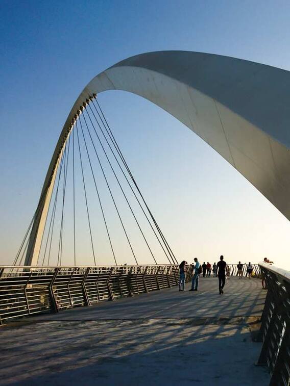 चीता अपनी पूरी ताकत से दौड़े तो कितनी तेज दौड़ सकता है