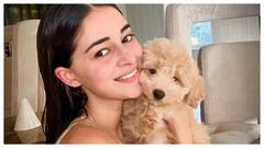 Ananya Panday Drops Pictures Of Her 'Baby Jaan' Riot