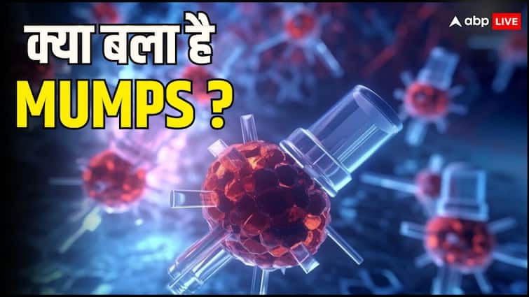 health tips mumps in children know causes symptoms and prevention in hindi abpp Mumps Outbreak: गुब्बारे की तरह फूल रहे बच्चों के गाल, कोरोना के बाद अब ये वायरस बना काल, जानें क्या है Mumps और इसके लक्षण