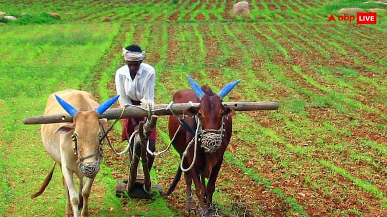 pm kisan 17th installment will released on 18 june  know details PM Kisan 17th Installment: ਪ੍ਰਧਾਨ ਮੰਤਰੀ ਕਿਸਾਨ ਯੋਜਨਾ ਦੀ 17ਵੀਂ ਕਿਸ਼ਤ ਜਾਰੀ ਕਰਨ ਦੀ ਤਰੀਕ ਦਾ ਖੁਲਾਸਾ, ਇਸ ਦਿਨ ਖਾਤੇ 'ਚ ਆਉਣਗੇ ਪੈਸੇ