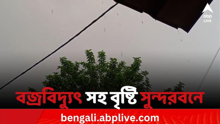 Bengal weather update rain and Thunderstorm likely to hit sunderban summer 2024 Bengal Weather Update: আগামী  ২-৩ ঘণ্টার মধ্যে বজ্রবিদ্যুৎ সহ বৃষ্টির সম্ভাবনা এখানে, আপনার জেলা ভিজবে কি?