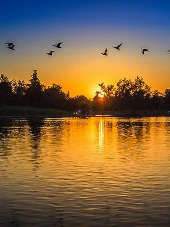 मध्य प्रदेश का ये शहर कहलाता है झीलों की नगरी