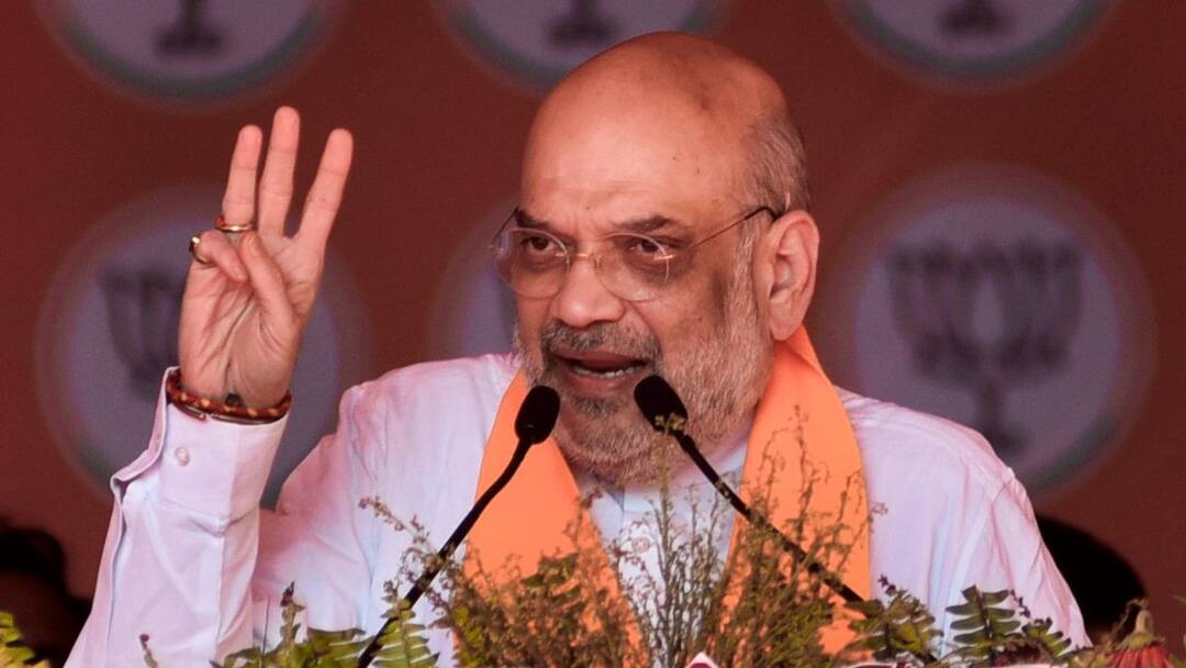 Amit Shah exclusive interview CAA UCC Citizenship Amendment Act Lok sabha elections 'Neither Article 370 Will Come, Nor CAA Be Repealed': Shah Says Process Of Giving Citizenship To Begin This Month