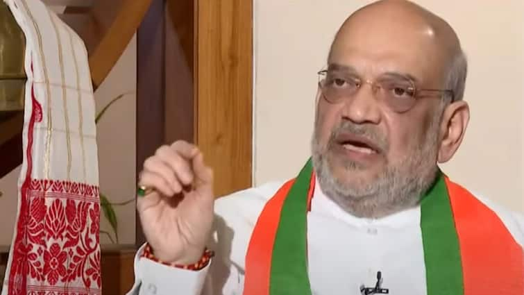 Amit Shah Exclusive Interview On election expenses  One Nation One Election Lok Sabha Election 2024 EXCLUSIVE: चुनाव में होता है कितना खर्च? सवाल पर अमित शाह बोले- कोई सच बताएगा तो...