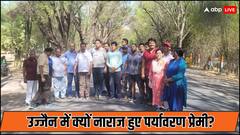 उज्जैन में पेड़ों की कटाई से पर्यावरण प्रेमी नाराज, जानिए क्यों धड़ल्ले से कट रहे हरे-भरे पेड़?