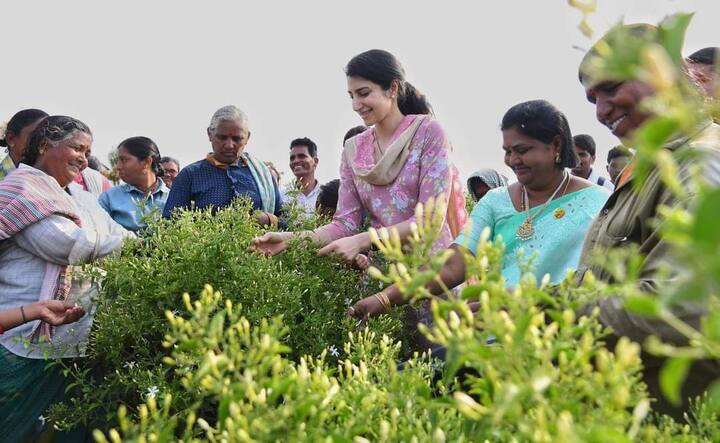 మంగళగిరిలో పంటలు పరిశీలన