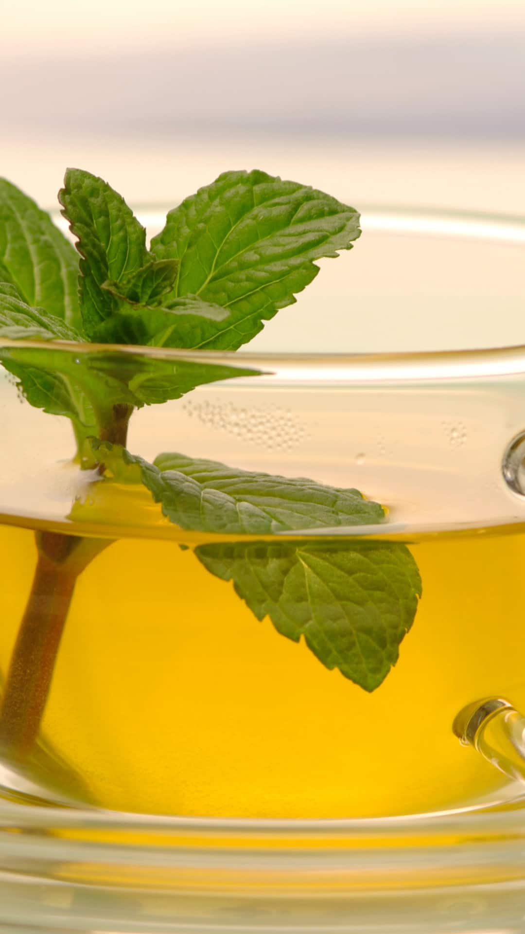10 Health Benefits Of Green Tea With Lemon
