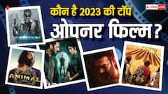 2023 Top Opener Movies: न जवान, न पठान, न ही एनिमल, 2023 की टॉप ओपनिंग फिल्मों की लिस्ट में किसने मारी बाजी?