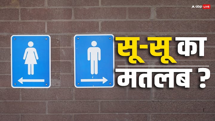 भारत में लोग जब टॉयलेट जाते हैं तो कहते हैं कि सू-सू करने जा रहा. खासतौर से हिंदी पट्टी के बच्चों द्वारा इस शब्द का प्रयोग खूब होता है. लेकिन क्या आप इस शब्द का असली मतलब जानते हैं.